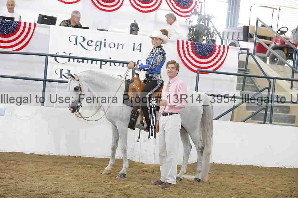 Proof Number 13r14_3954
