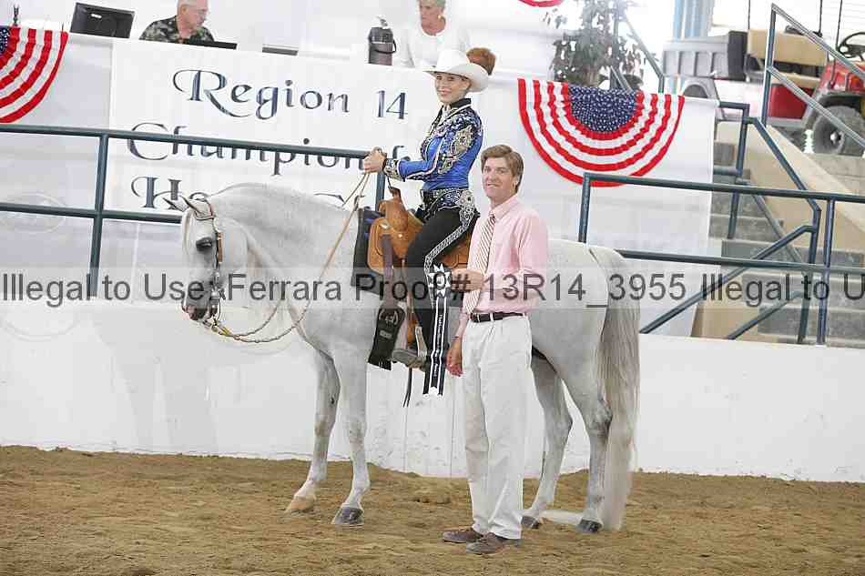 Proof Number 13r14_3955