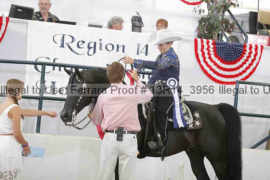 Proof Number 13r14_3956