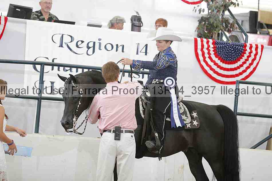 Proof Number 13r14_3957