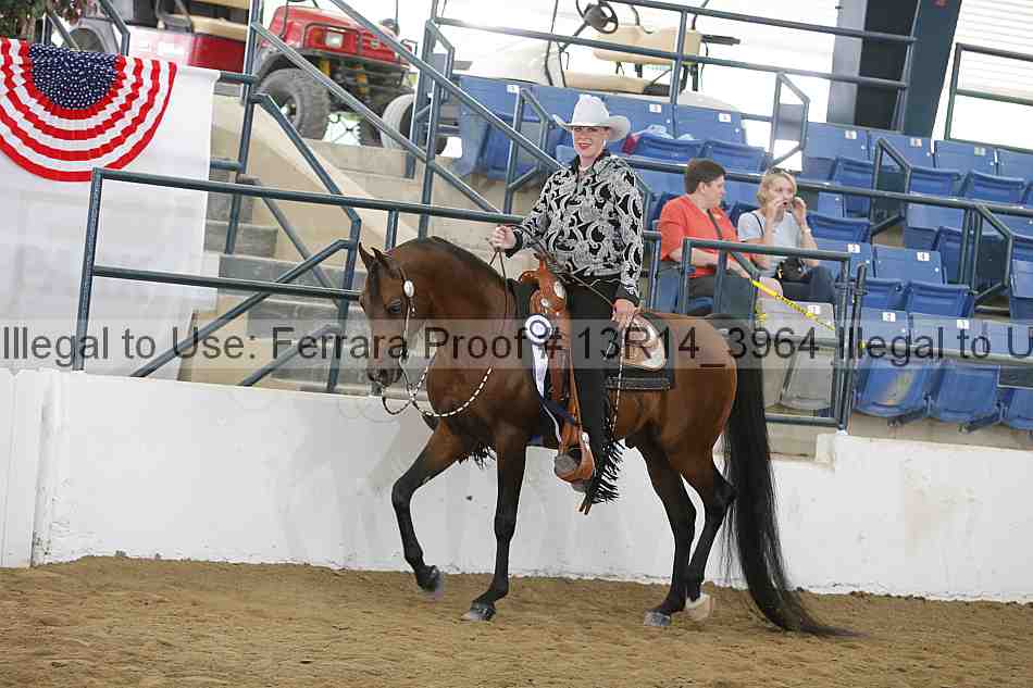 Proof Number 13r14_3964