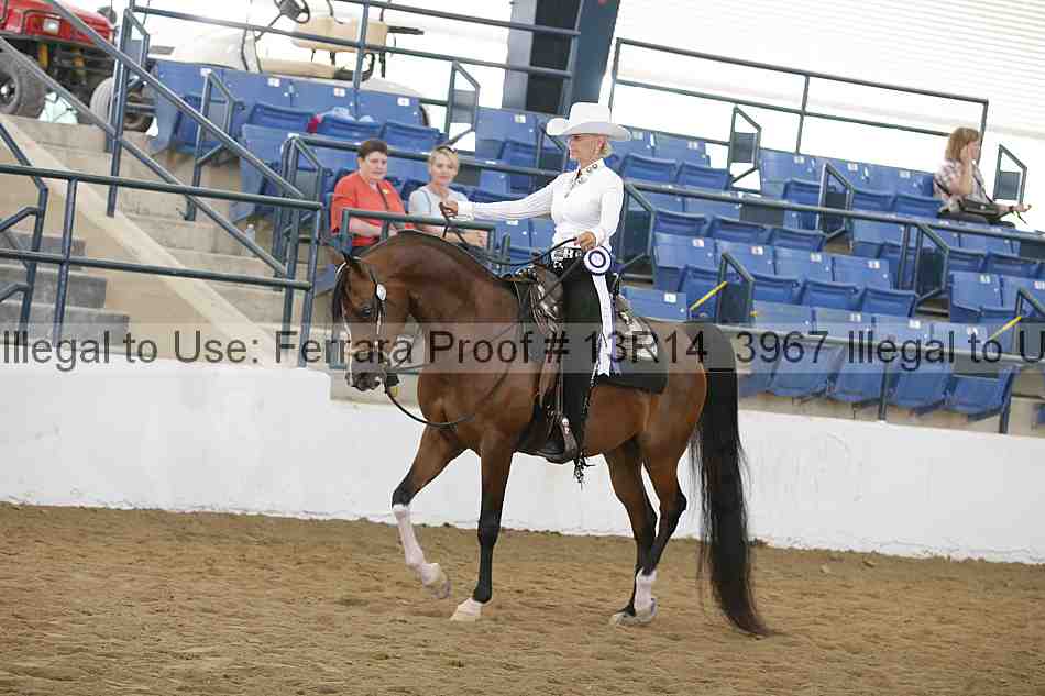 Proof Number 13r14_3967