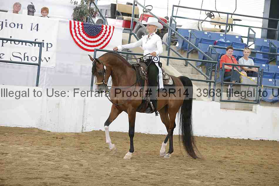 Proof Number 13r14_3968