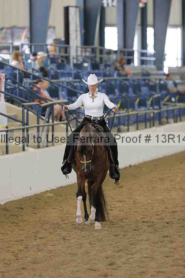 Proof Number 13r14_3970