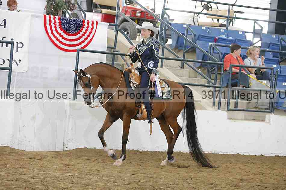 Proof Number 13r14_3971