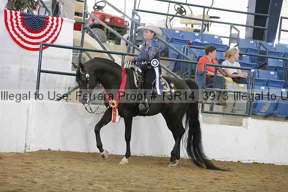 Proof Number 13r14_3973