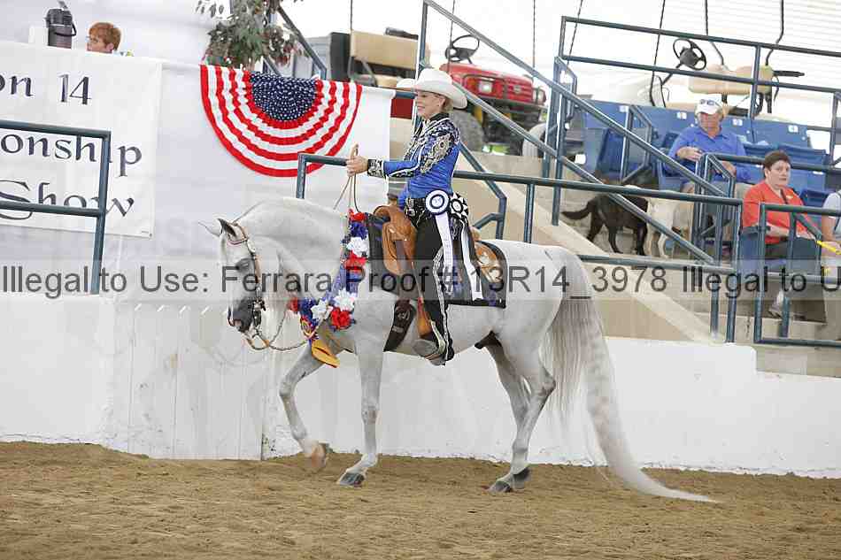 Proof Number 13r14_3978