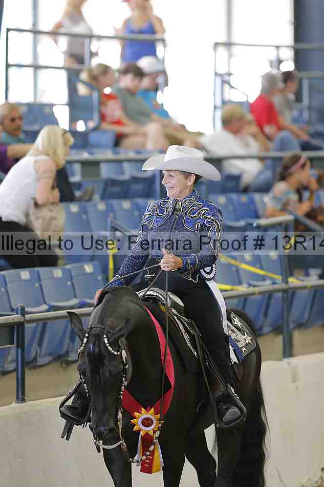 Proof Number 13r14_3980