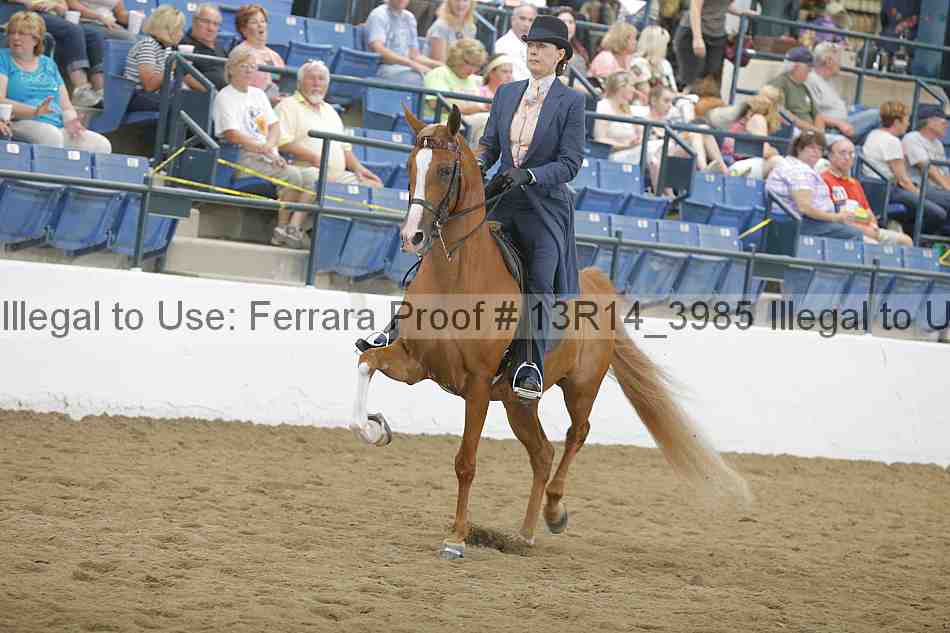 Proof Number 13r14_3985