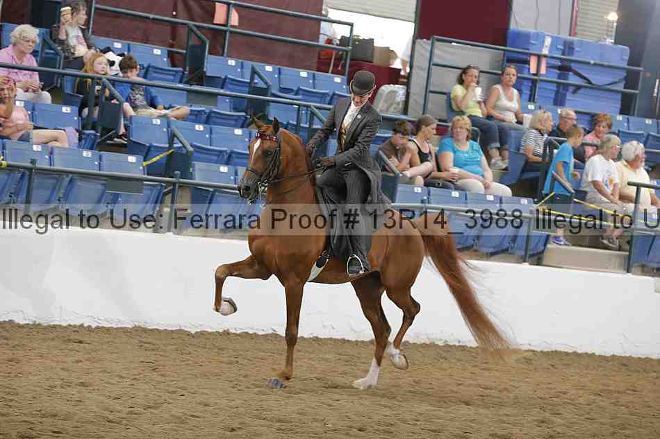 Proof Number 13r14_3988