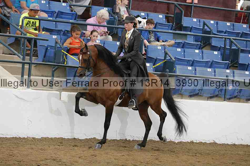Proof Number 13r14_3990