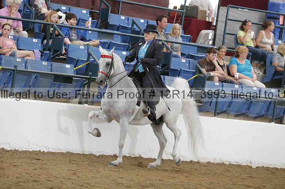 Proof Number 13r14_3993