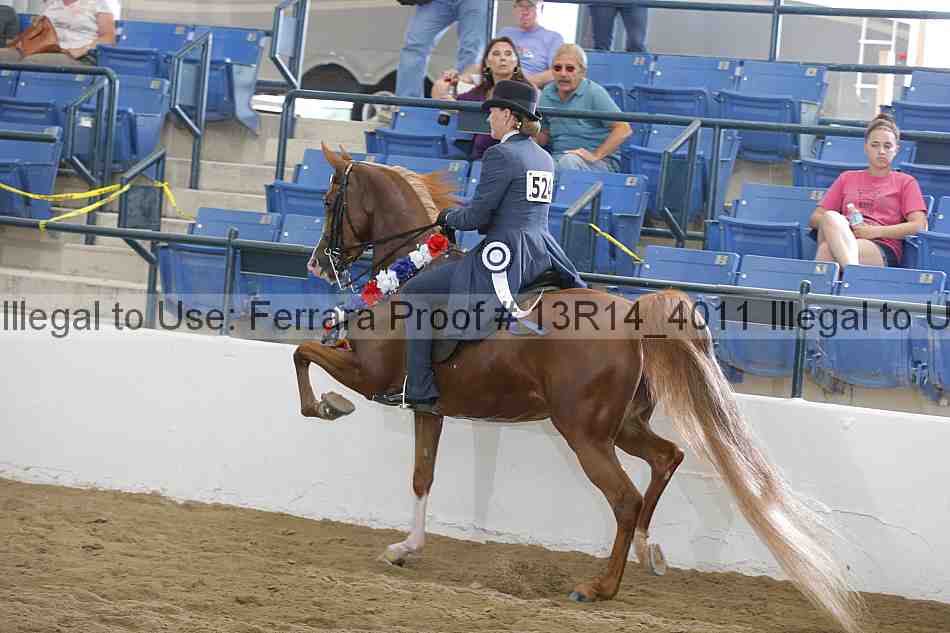 Proof Number 13r14_4011