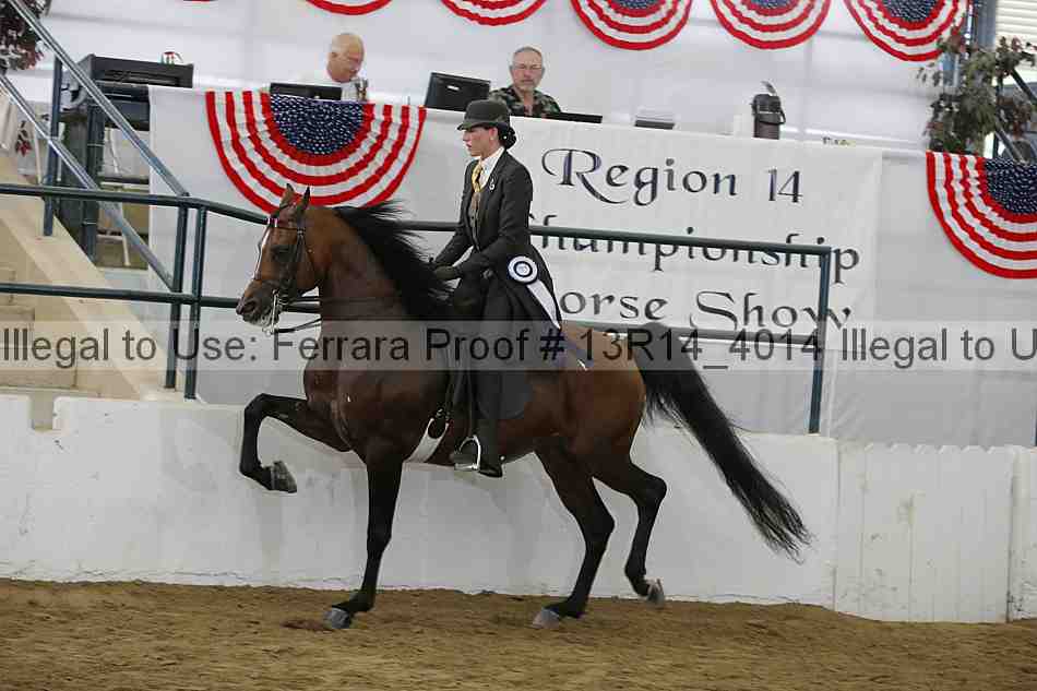 Proof Number 13r14_4014