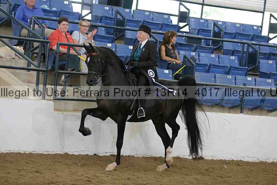 Proof Number 13r14_4017