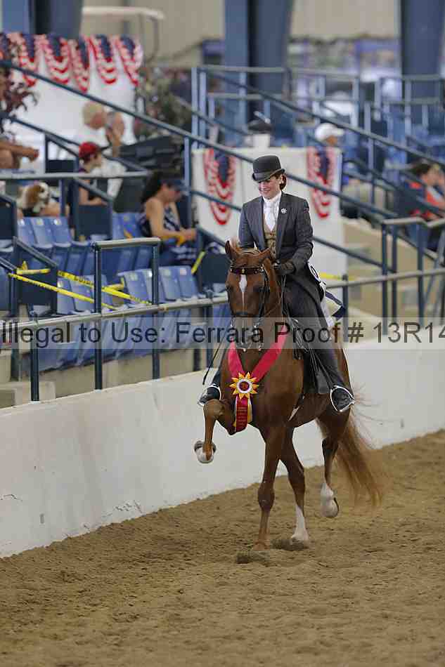 Proof Number 13r14_4024