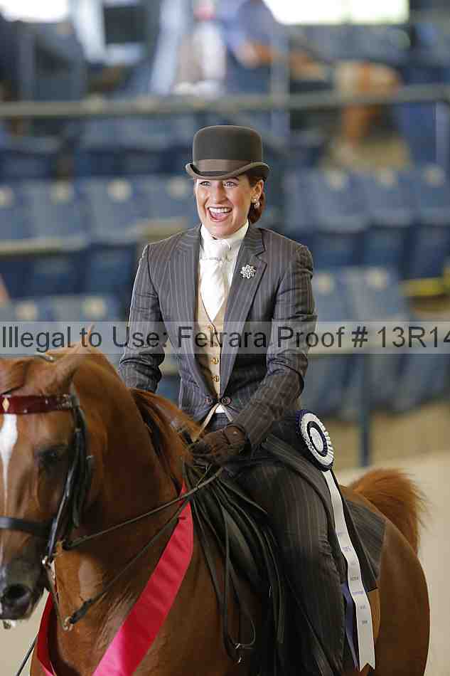Proof Number 13r14_4026