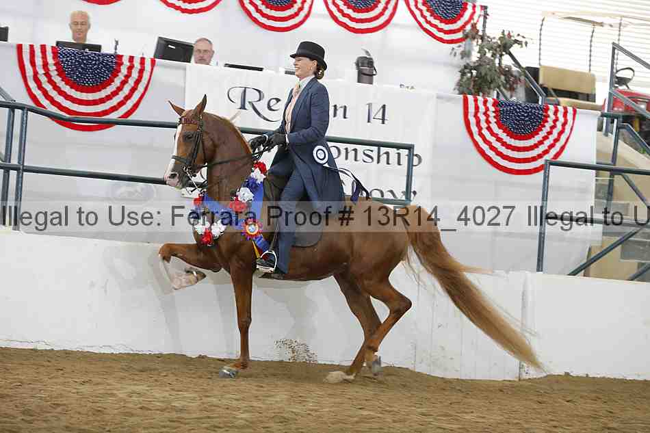 Proof Number 13r14_4027