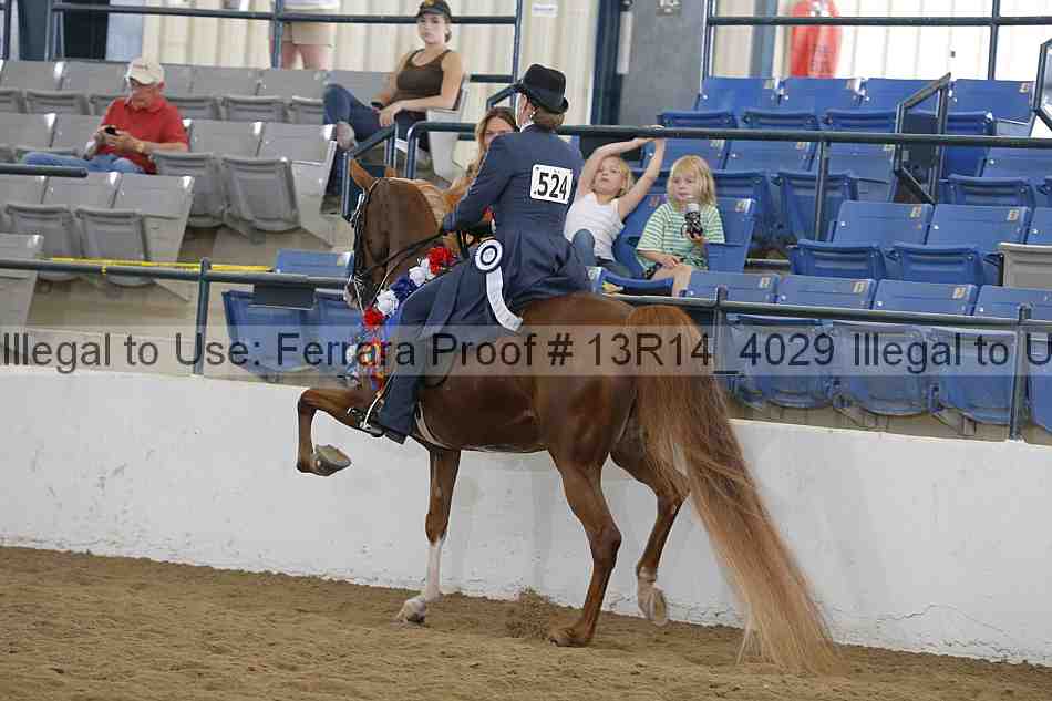 Proof Number 13r14_4029