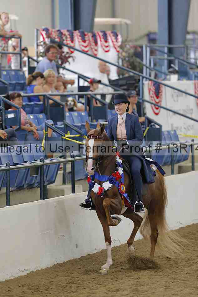 Proof Number 13r14_4031