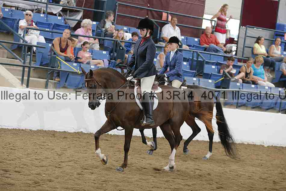 Proof Number 13r14_4071