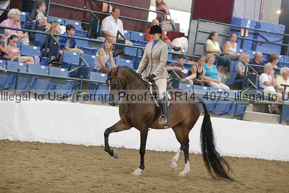 Proof Number 13r14_4072