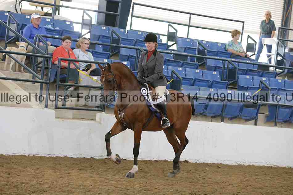 Proof Number 13r14_4090