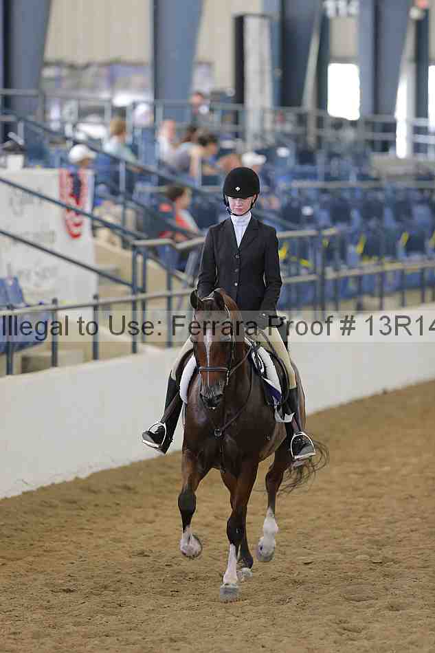 Proof Number 13r14_4091