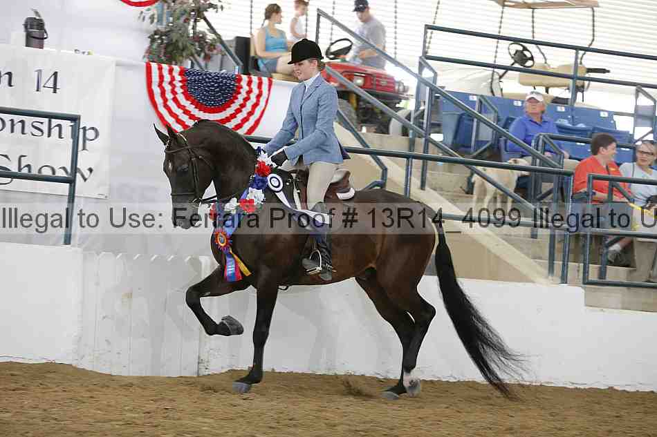 Proof Number 13r14_4099