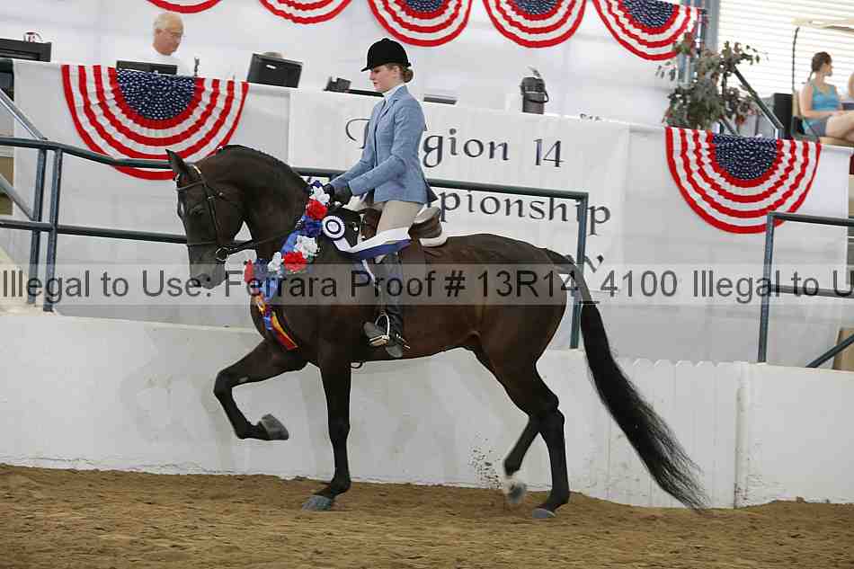 Proof Number 13r14_4100