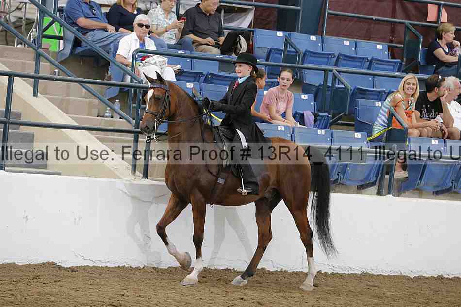 Proof Number 13r14_4111