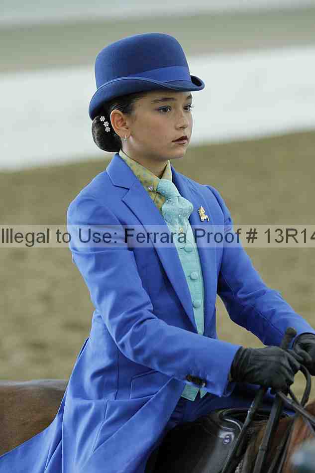 Proof Number 13r14_4112