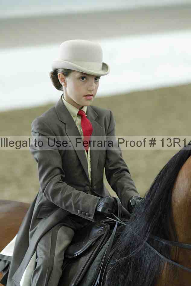 Proof Number 13r14_4113