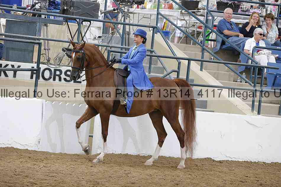 Proof Number 13r14_4117