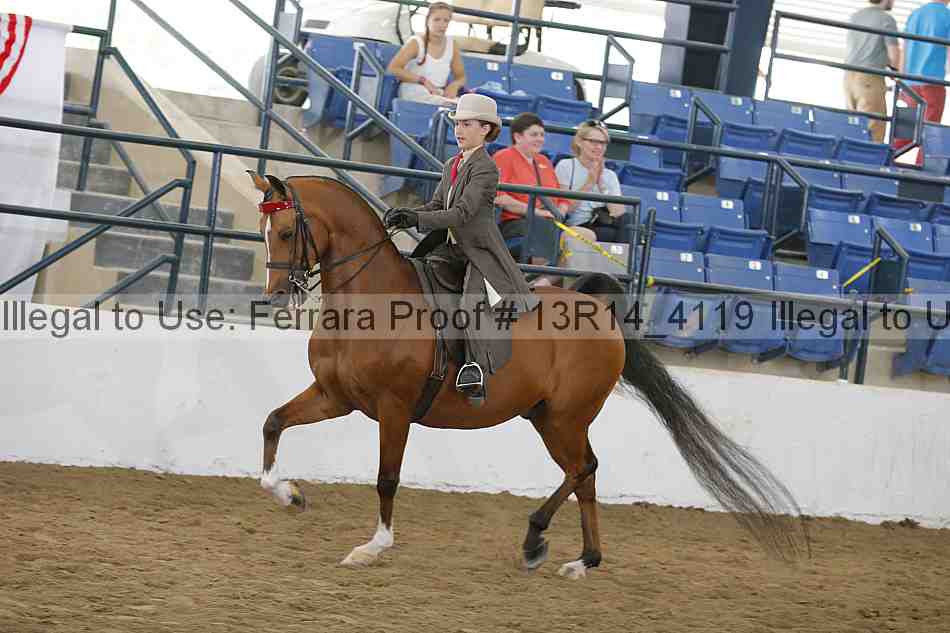 Proof Number 13r14_4119