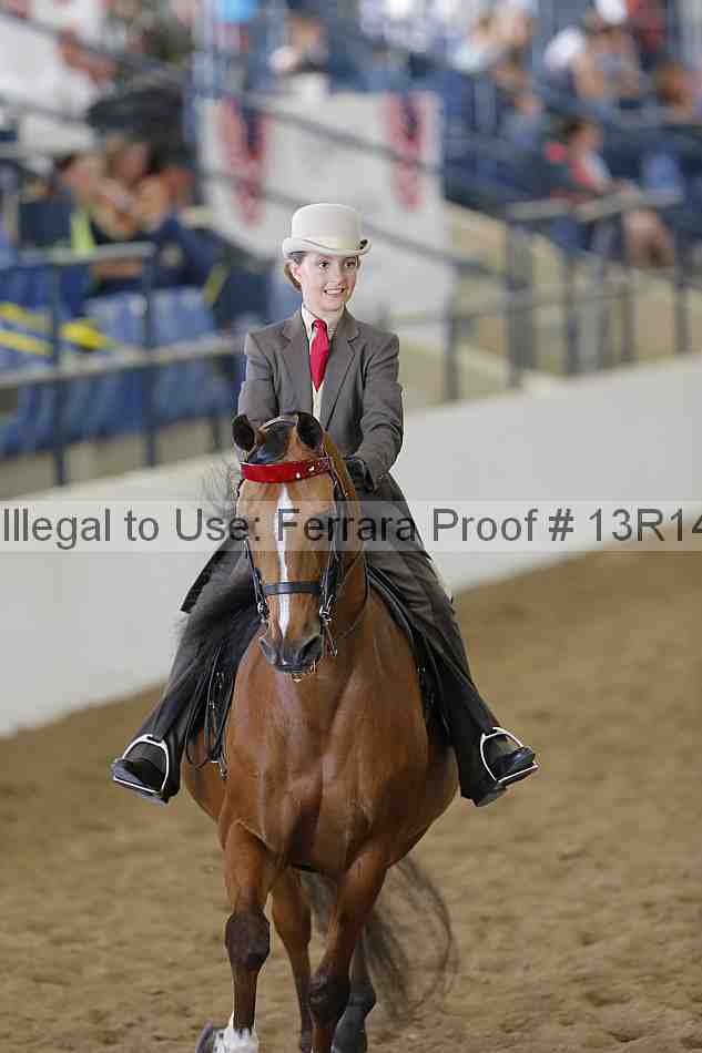 Proof Number 13r14_4125