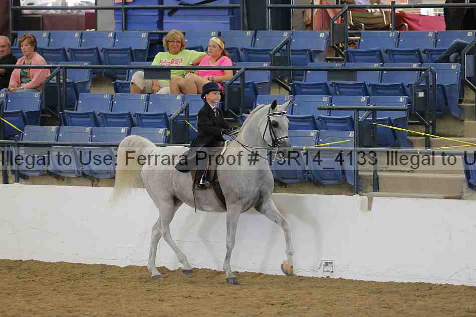 Proof Number 13r14_4133