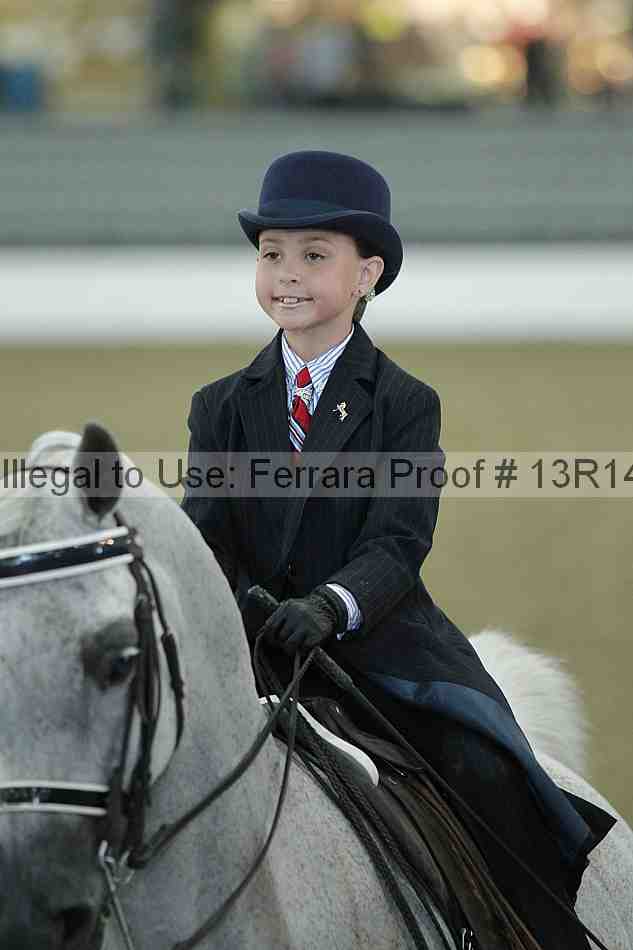 Proof Number 13r14_4134