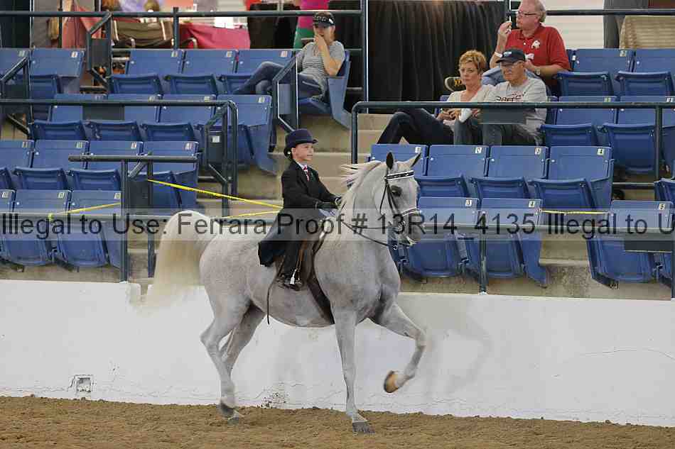 Proof Number 13r14_4135