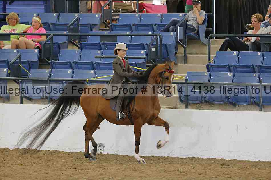 Proof Number 13r14_4138