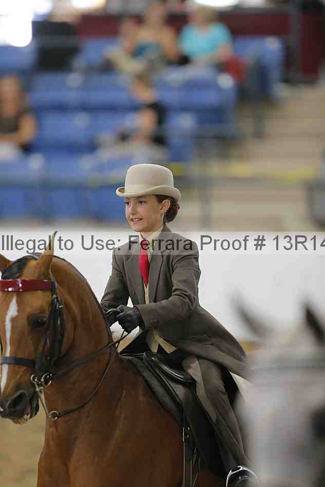 Proof Number 13r14_4139