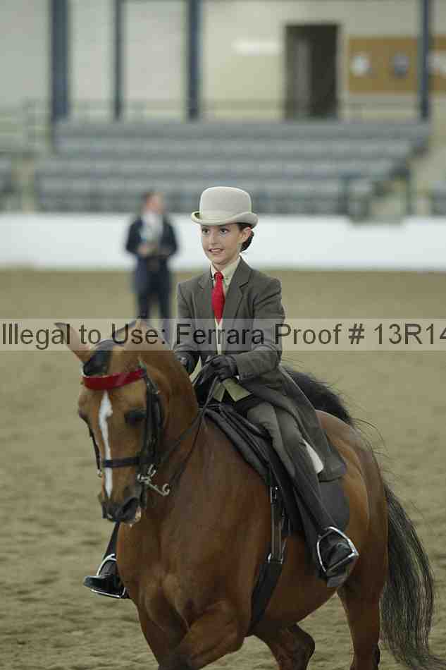 Proof Number 13r14_4142