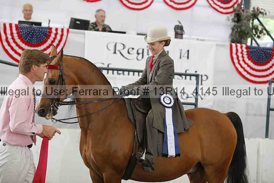 Proof Number 13r14_4145