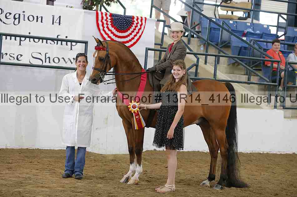 Proof Number 13r14_4146