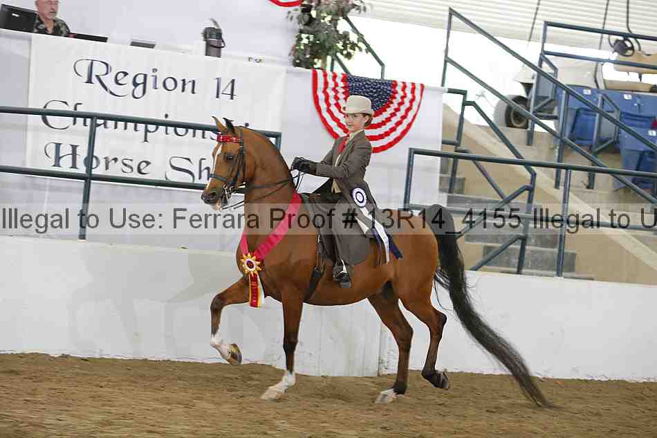 Proof Number 13r14_4155