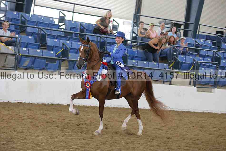 Proof Number 13r14_4157