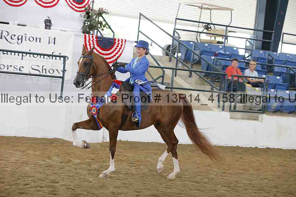 Proof Number 13r14_4158