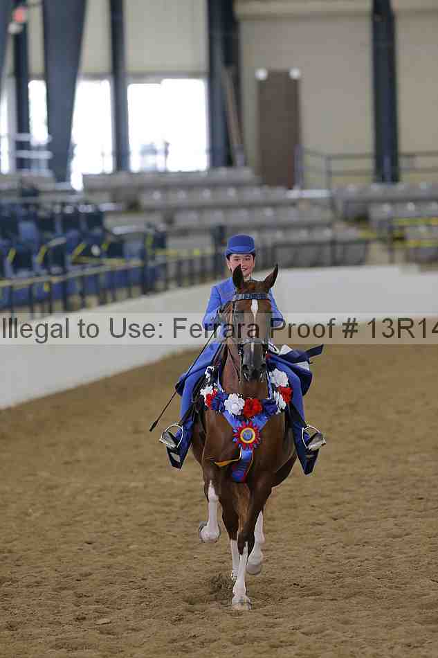 Proof Number 13r14_4160