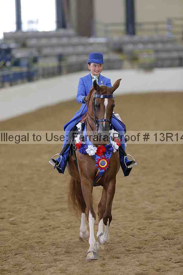 Proof Number 13r14_4161