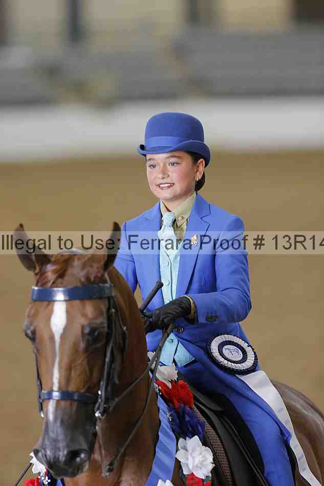 Proof Number 13r14_4164
